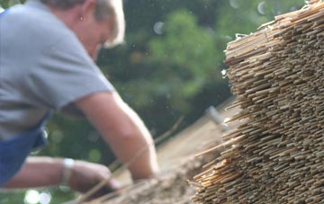 professional Faerdre thatchers